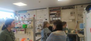 sasoibide+: Bus; Bainuetxe, Urkuluko bira, Bedoña @ Bus geltokia, erdigunea