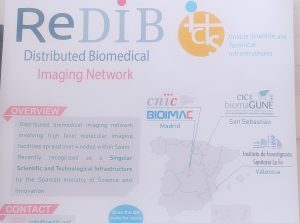 sasoibide+: Bus; Bainuetxe, Urkuluko bira, Bedoña @ Bus geltokia, erdigunea