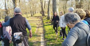 sasoibide+: Bus; Bainuetxe, Urkuluko bira, Bedoña @ Bus geltokia, erdigunea