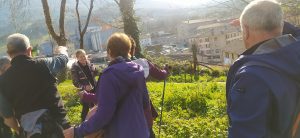 sasoibide+: Bus; Bainuetxe, Urkuluko bira, Bedoña @ Bus geltokia, erdigunea