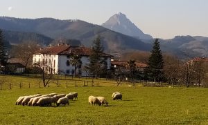 San Balerio, Salturri baserria @ Biteri