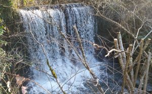 San Balerio, Salturri baserria @ Biteri