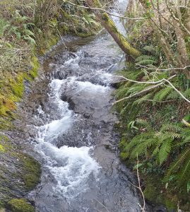 San Balerio, Salturri baserria @ Biteri