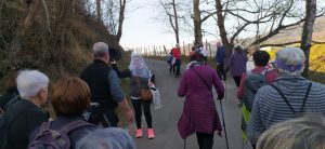 sasoibide+: Antoniña, Saburdi, Monterron @ Biteri