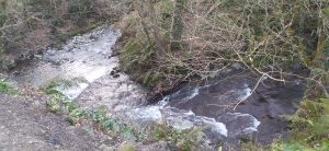 sasoibide+: Antoniña, Saburdi, Monterron @ Biteri