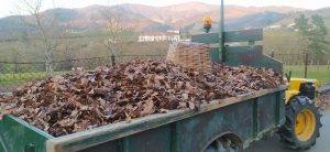 sasoibide+: Antoniña, Saburdi, Monterron @ Biteri