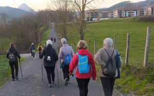 sasoibide+: Antoniña, Saburdi, Monterron @ Biteri