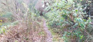 LILABIDE, entrenamendua @ Biteri