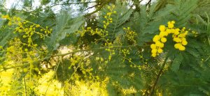 sasoibide+: Zabolain (Garagartza), bus @ Bus geltokian, erdigunea