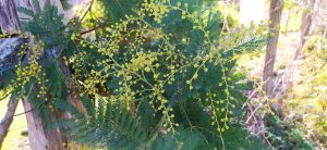 sasoibide+: Zabolain (Garagartza), bus @ Bus geltokian, erdigunea