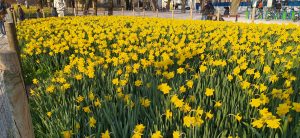 BIXI BIZI tailerra: Propiozepzioa + Steep @ Ferixalekuko Ikastolan