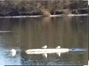 sasoibide+: antzuola @ Bus geltokia, Kontzeziño, Zalduspe (ospitala)